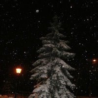 Рождественсkая ночь .... :: Алёна Савина