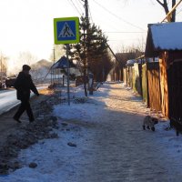 Зима. :: Ильсияр Шакирова