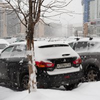 Давно не было снега :: Валерий Михмель 