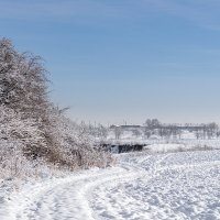 По белому снегу :: Игорь Сикорский