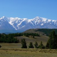 Горный Алтай . Курайская степь . :: Нэлли Обертынская