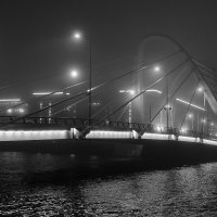 Лазаревский мост. Туман. :: Алексей Смирнов
