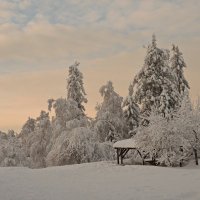 Зима на Черной скале* :: Galina Serebrennikova