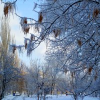 Кружевной ажур декабря... :: Лидия Бараблина