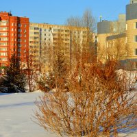 Декабрь в Родниках :: Татьяна Лютаева