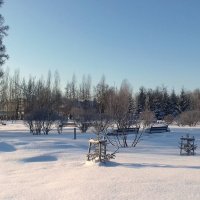 Солнечный морозный ,  -27 , день в парке . :: Мила Бовкун