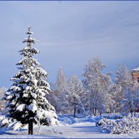 22 декабря 2018 в Бийске. :: Владимир Михайлович Дадочкин