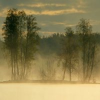 В тумане утреннем.... :: Юрий Цыплятников