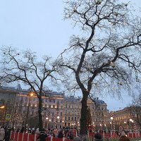 Предновогоднее.... :: Валентина Жукова