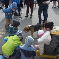 Желаю Вам в Новом году: :: Владимир Шибинский