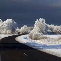 Дорога в сказку. :: shvlad 