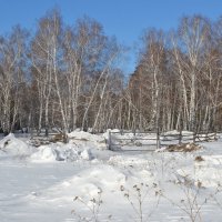 Хороший денёк,выдался...мягкий морозец. :: Георгиевич 