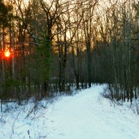 Скоро солнышко скроется на лесом :: Raduzka (Надежда Веркина)