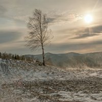Зима,ветер,позёмка... :: Сергей Герасимов