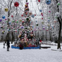 Новогодняя красавица - ёлка в городском саду :: Милешкин Владимир Алексеевич 