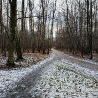 Типичный пейзаж нынешней зимы :: Андрей Лукьянов