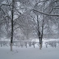 Однажды зимой :: Елена Семигина