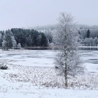 Зимой :: Varvara 