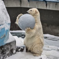 Кай :: Аркадий Лаптенко