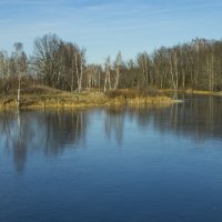 осенний водоем :: владимир 