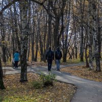 Осенью в парке :: gribushko грибушко Николай