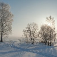 Февральские туманы :: Валерий Иванович