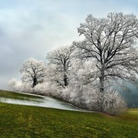 местами дождь, местами снег..,  местами зима, местами весна... :: Elena Wymann