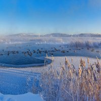 Голубое утро :: Vladimbormotov 