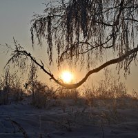 Колыбель солнца :: Ксения 