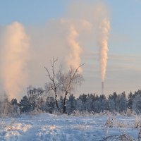 Экология и мы :: Ксения 