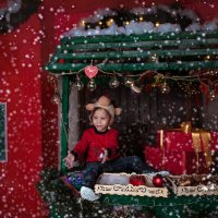 Путешествие в Рождество :: Александра Карпова