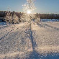 Январское утро :: Валерий Иванович