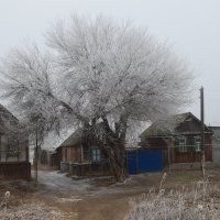 утро..иней...туман :: Владимир Мазаев Астрахань 
