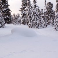 Новогоднее путешествие в зимнюю сказку. :: Любовь Иванова