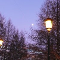 Луна и фонари :: Виктор 