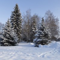 В зимнем перке :: Анатолий Грачев