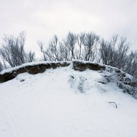 Северодвинск. Осень на территории зимы :: Владимир Шибинский