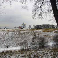 Взгляд на Свенский монастырь в январе :: Евгений 