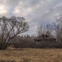 Заброшенные деревни Николополья :: Сергей Цветков