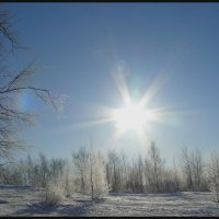 Звенящее утро :: олег свирский 