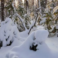 Кулёмушки. :: Вера Литвинова