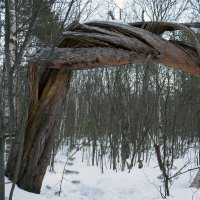 Северодвинск. Сейчас погода у нас скверная: темно, скользко, ветренно. :: Владимир Шибинский