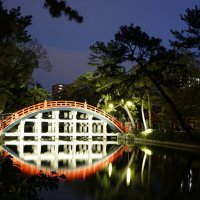 Мост Сорихаси, храм Сумиёси-тайся, Осака, Япония :: Иван Литвинов