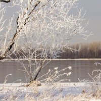 Сибирская зима :: Вадим Басов