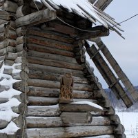 А как без мудрой совы?! Никак! :: Зинаида Каширина