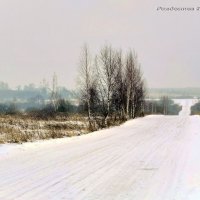 Дорога из Годеново в Антушково 7 января 2020 г. :: Лариса Терехова 