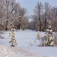 Смена растёт :: Любовь Потеряхина