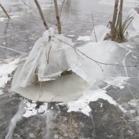 в ледяном плену :: Елена Шаламова
