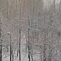 "Всю ночь на улице мело и  на  дворе  белым бело....!!С настоящим снегом ДРУЗЬЯ! :: Виталий Селиванов 