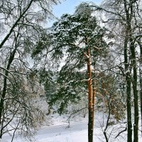 Р. Десна в Дубровицах :: Евгений Кочуров